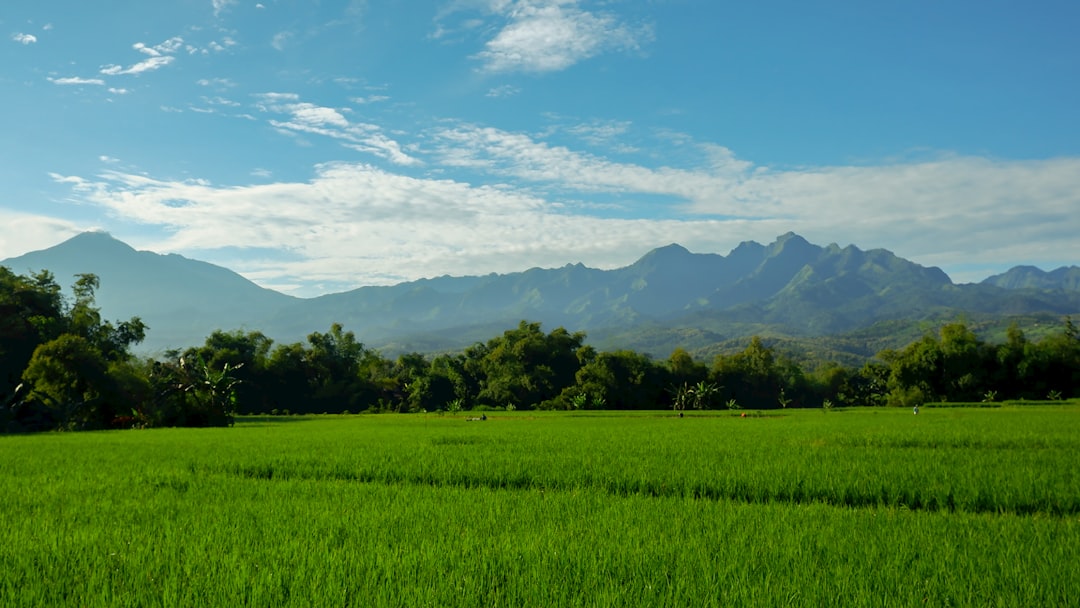 Photo Nature landscape